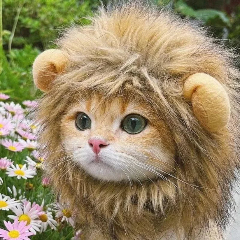 Pet Lion Mane Costume – Adjustable Hairpiece for Cats & Small Dogs
